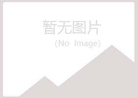 河津晓夏咨询有限公司